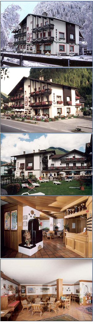 Hotel Liz Hotel Predazzo