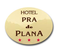 Hotel Pra de Plana