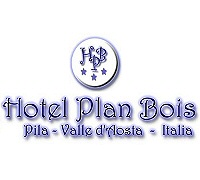 Hotel Plan Bois