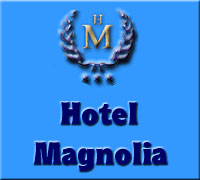 Hotel Magnolia Hotel Ischia - Casamicciola Terme
