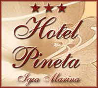 Hotel Pineta Hotel Igea Marina