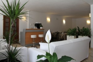 Hotel I Platani