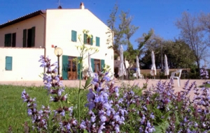  Querciolaia Residence