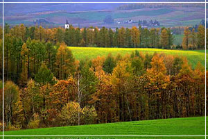 Hotels Countryside