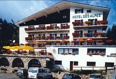 Hotel Des Alpes