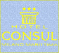 Hotel Consul