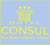 Hotel Consul