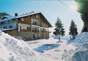 Hotel Des  Alpes