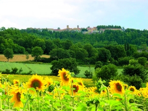 Hotel Altieri